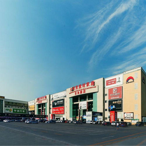 全力以赴，持续提升——大明宫建材家居的2024年终将不凡